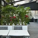 Hotel Nh Avenida Jerez Jerez de la Frontera
